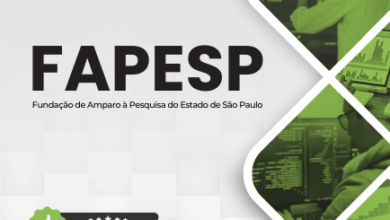 Apostila Profissional para Analista de Sistemas FAPESP 2026: Conteúdos e Diretrizes