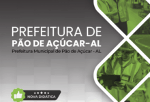 Apostila Técnica 2026: Formação para Profissionais em Estradas – Pão de Açúcar, AL