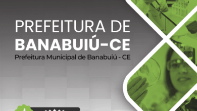 Apostila de Capacitação: Técnico em Meio Ambiente – Banabuiú CE 2026