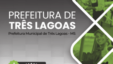 Apostila de Capacitação para Artesãos de Três Lagoas – MS 2026