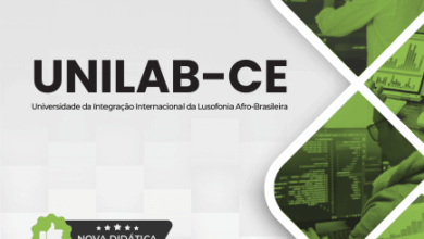 Apostila de Técnicas de TI: Desenvolvimento de Software – UNILAB CE 2026