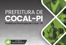Apostila para Professores de Artes – Cocal PI 2026: Conteúdos e Metodologias Apostila para Professores de Artes – Cocal PI 2026: Conteúdos e Metodologias