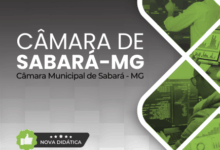 Descubra as Inovações da Apostila para Diretor de TI na Câmara de Sabará MG 2026!