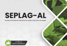 Apostila Especializada em Gestão de Arquivologia – SEPLAG AL 2026 Apostila Especializada em Gestão de Arquivologia – SEPLAG AL 2026