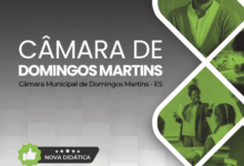 Apostila para Analista Legislativo Pedagógico – Câmara Municipal de Domingos Martins – 2026 Apostila para Analista Legislativo Pedagógico – Câmara Municipal de Domingos Martins – 2026