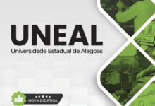 Apostila para o Concurso de Analista de Sistemas da UNEAL 2026