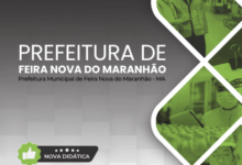 Apostila Fiscal de Meio Ambiente – Feira Nova do Maranhão 2026: Diretrizes e Normas