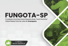 Apostila Técnica em Informática – FUNGOTA Araraquara SP | 2026