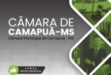 Apostila para Advogados: Câmara Municipal de Camapuã – MS 2026