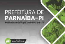 Apostila Profissional para Cuidador de Crianças em Parnaíba – PI 2026