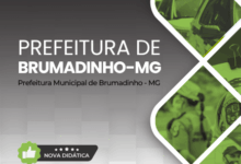 Descubra a Apostila da Guarda Civil Municipal Brumadinho MG 2026: O Guia Completo!