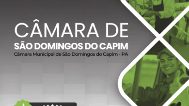 Apostila do Vigia Câmara: Preparação para Concursos em São Domingos do Capim – PA 2026