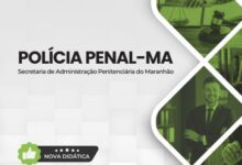 Apostila Especialista: Assistência Penitenciária e Direito Polícia Penal MA 2026