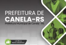 Apostila Profissional de Educação Infantil – Canela RS 2026: Conteúdos e Práticas