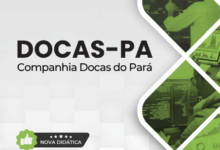 Apostila para Analista Portuário: Segurança da Informação – Companhia Docas PA 2026 Apostila para Analista Portuário: Segurança da Informação – Companhia Docas PA 2026