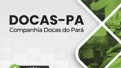 Apostila para Analista Portuário: Segurança da Informação – Companhia Docas PA 2026
