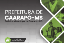 Apostila para Professores de Educação Infantil em Caarapó – MS 2026: Diretrizes e Recursos