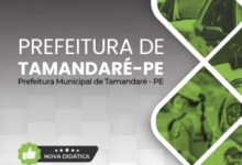 Apostila Preparatória Guarda Civil Municipal Tamandaré PE: Concurso 2026