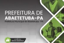 Apostila Profissional para Auxiliar de Docência na Educação Infantil – Abaetetuba PA 2026 Apostila Profissional para Auxiliar de Docência na Educação Infantil – Abaetetuba PA 2026