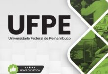 Apostila Técnica de Desenvolvimento da UFPE: Guia Completo para 2027