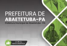 Apostila de Fisioterapia: Guia Completo para Profissionais em Abaetetuba, PA 2026