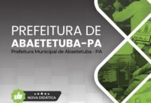 Apostila de Formação Técnica em Informática – Abaetetuba, PA 2026