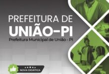 Apostila do Professor de Educação Infantil – Prefeitura de União/PI 2026