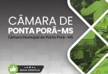 Apostila para Analista de Sistemas: Câmara Municipal de Ponta Porã/MS 2026