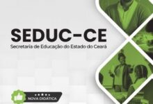 Apostila para Professores de Artes – SEDUC CE 2026: Guia Completo de Conteúdos