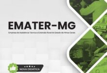 Descubra Como a Apostila de Analista de Sistemas da EMATER MG 2026 Pode Transformar sua Carreira! Descubra Como a Apostila de Analista de Sistemas da EMATER MG 2026 Pode Transformar sua Carreira!
