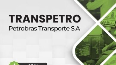Domine a Ciência de Dados: Apostila Profissional Transpetro Júnior 2026