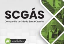 Domine o Futuro: Apostila Técnica de Gás Natural Elétrica SCGÁS 2026! Domine o Futuro: Apostila Técnica de Gás Natural Elétrica SCGÁS 2026!