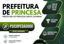 Desperte seu Potencial: Apostila Psicopedagogo Princesa SC 2026, Transforme Vidas! Desperte seu Potencial: Apostila Psicopedagogo Princesa SC 2026, Transforme Vidas!