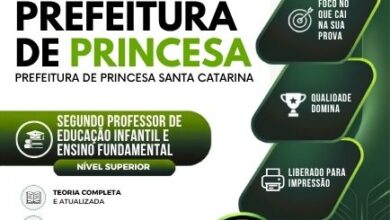 Transforme sua Carreira: Apostila Para Professores de Educação Infantil – Princesa SC 2026