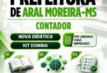 Apostila Contábil: Guia Completo para Profissionais em Aral Moreira – MS 2026