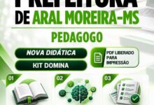 Apostila Pedagógica 2026: Guia Completo para Educadores em Aral Moreira, MS Apostila Pedagógica 2026: Guia Completo para Educadores em Aral Moreira, MS