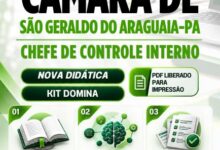 Apostila do Chefe de Controle Interno da Câmara de São Geraldo do Araguaia PA 2026 Apostila do Chefe de Controle Interno da Câmara de São Geraldo do Araguaia PA 2026