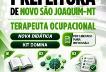 Guia Profissional de Terapia Ocupacional – Novo São Joaquim MT 2027